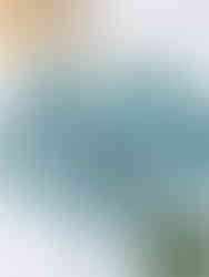 Cusuti Floral Print Cut Out Long Sleeve One Piece Swimsuit