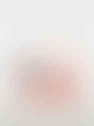 Rabbit-inspired handbag with dedication to New England Cotton Tail