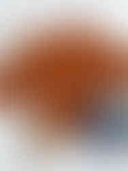 "Versatile Bell Sleeve Top for Stylish Comfort"