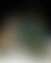 Mixed colors slingback pumps and bag set featuring a butterfly-knot detail and metal handle.