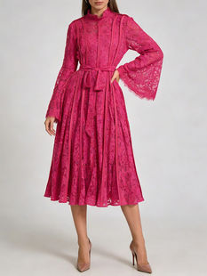 Sheer Lace Dresses, Stand Neck A-LINE Silhouette, Polyester Woven, Zipper