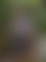 A woman wearing black&white high-waisted compression leggings with a black&white sports bra, working out. Cusuti