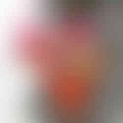 Cusuti V-Neck Bikini Swimsuit Two Piece Bathing Suit