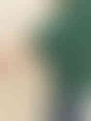 "Versatile Bell Sleeve Top for Stylish Comfort"