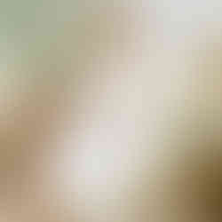 Cusuti Cotton Lace Long Nightgown Sleepwear Robe Plus Size