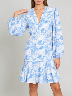 Printed V-Neck Sheath Dress, Long Sleeve Ruched Slim Fit Polyester Dress