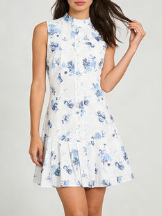 Printed A-Line Zipper Polyester Dress, Sleeveless Stand Neck, Above Knee Mini