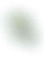 Fashionable purse with unique tassel detail, Vegan leather wristlet with detachable strap, Premium Compact purse with premium