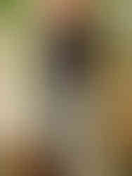 "Criss-Cross Neckline Bell Sleeve Top - Solid Print"