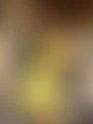 Cusuti Two Piece Lace Halter Bra and Tassel Mini Skirt Set