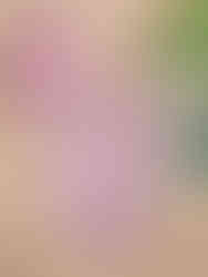 Cusuti One Shoulder Ruffle One Piece Swimsuit Floral Print Swimwear