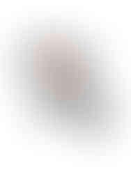 Fashionable purse with unique tassel detail, Vegan leather wristlet with detachable strap, Premium Compact purse with premium