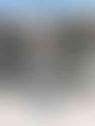 Cusuti Grey & Black Long Sleeve Crop Top with thumb holes and striped sleeves. Model wearing size medium.