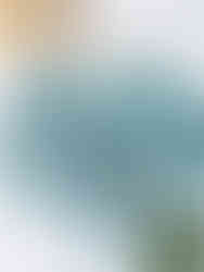 Cusuti Floral Print Cut Out Long Sleeve One Piece Swimsuit