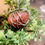 Thumbnail: Red Jasper Crystal Necklace