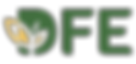 DFE Logo