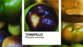 colores de la cocina mexicana tomatillo