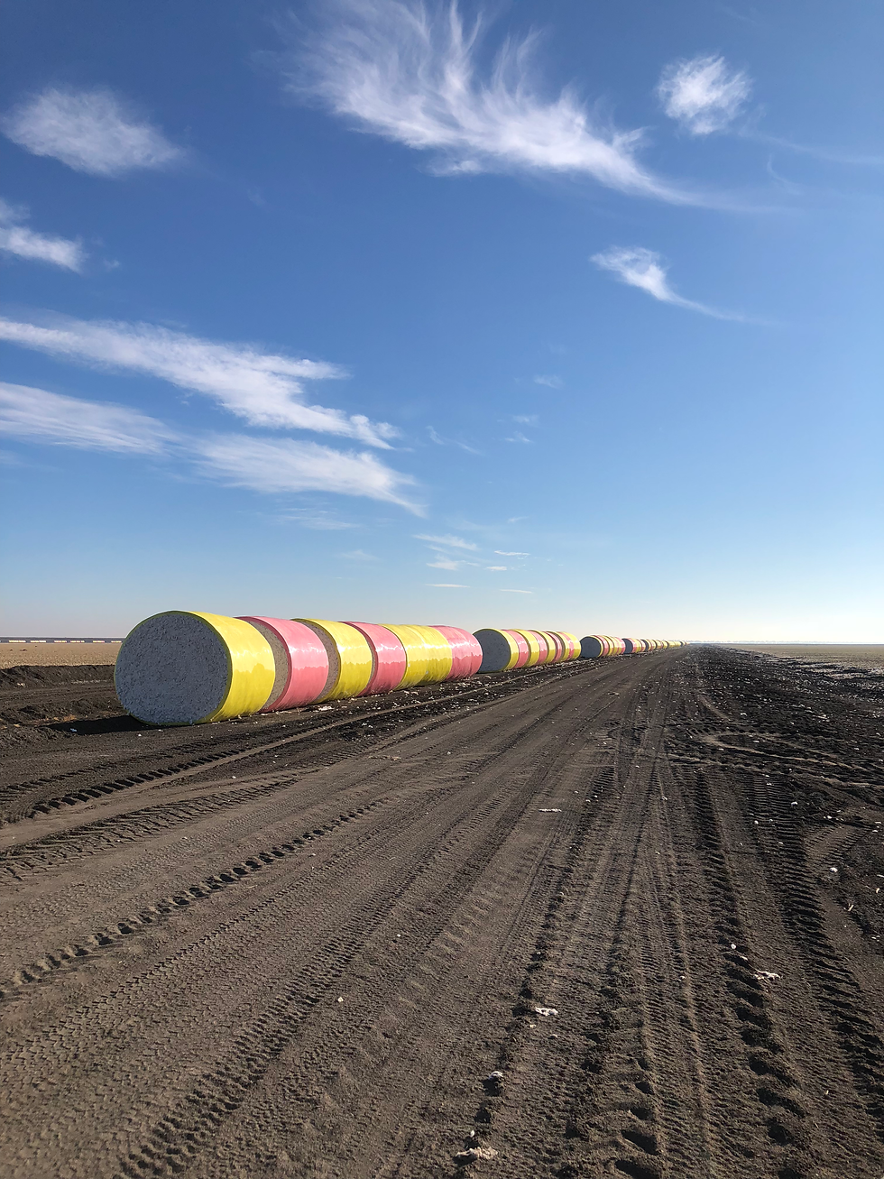 Long line of bails of hay