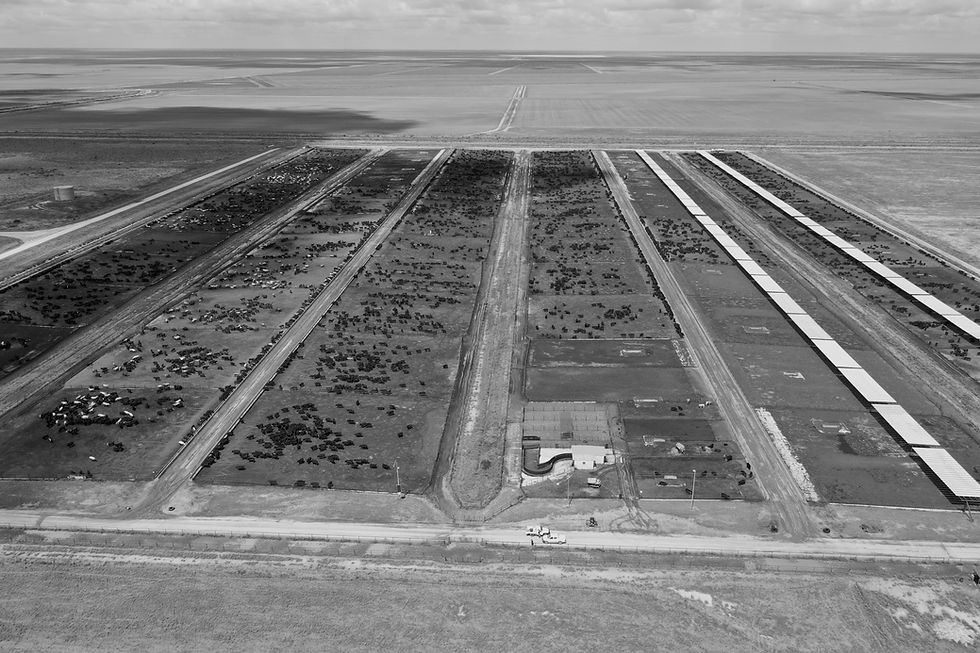 Luchtfoto van ranch met vee