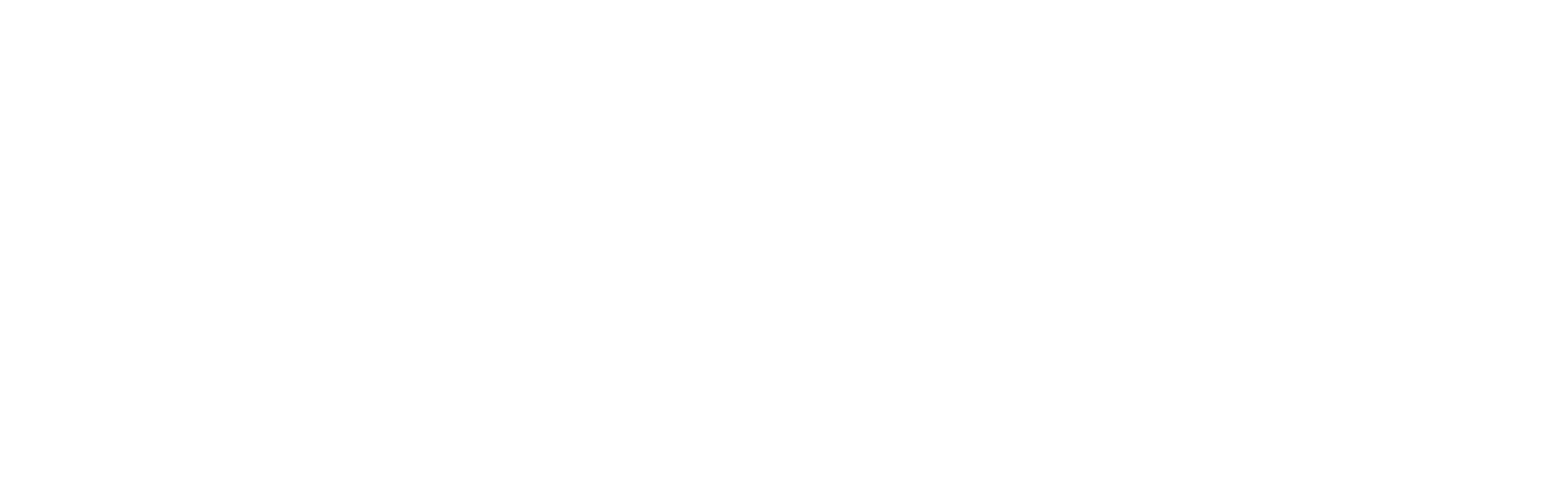 Immersiv Logo