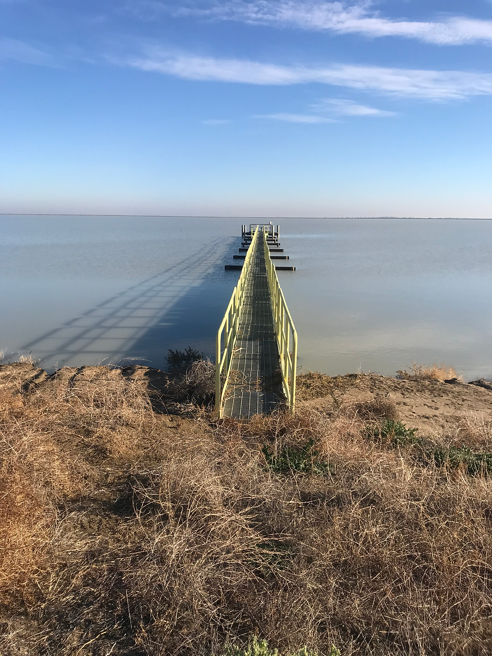 straight Pier extending into water