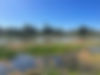 Wetlands