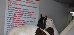 Eagle View Equestrian Centre's Horseback Riding Club Williams Lake, BC