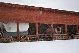 Eagle View Equestrian Centre Horses Williams Lake, BC
