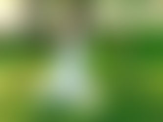 Yoga Retreats: Deine Auszeit für Körper und Geist