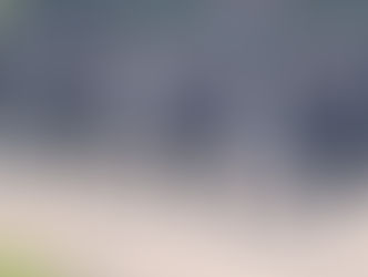 Journée nationale à la mémoire des victimes des crimes racistes et antisémites de l’Etat français et