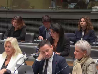 CDDAT et CAC - Table ronde sur les transports de voyageurs pendant les JOP