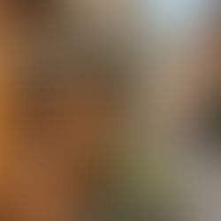 Ouverture des boulangeries et fleuristes indépendants le 1er mai