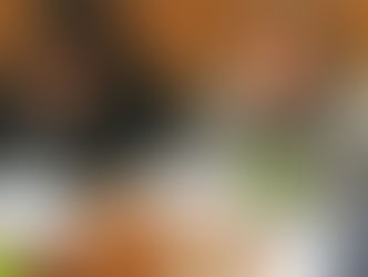 Audition de Marie-France Bellin pour la présidence de l'IRSN