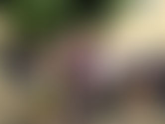 Commémoration à Conliège de la rafle du 11 juillet 1944