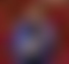 Loi portant création d'un Statut de l'Élu local