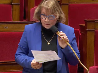 Loi portant création d'un Statut de l'Élu local