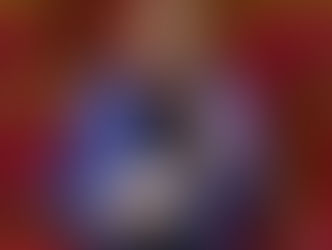 Loi portant création d'un Statut de l'Élu local