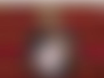 Projet de Loi "Douanes"