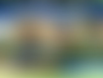 Covid-19 Annulation des charges pour les cafés, hôtels, restaurants en difficulté