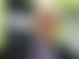 Adieu à Lucien Paulin