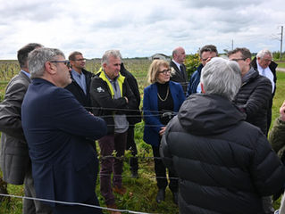 Episode de gel tardif du vignoble