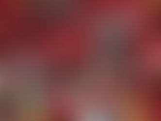 A l'Assemblée nationale - Semaine du 13 au 16 novembre 2023