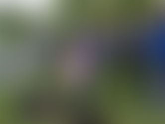 Le Centenaire de la Grande guerre commémoré avec ferveur dans les communes du Jura