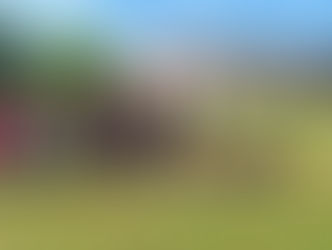 Inauguration du verger de sauvegarde de Vincent-Froideville