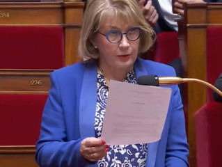 A l'Assemblée nationale - Du 26 au 29 mai
