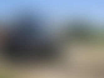 Exonération pour l'emploi des
travailleurs occasionnels agricoles