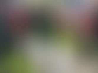 Cérémonie d'hommage aux Victimes et Héros de la Déportation