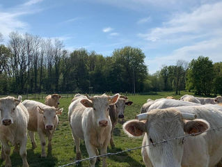 Des mesures pour les exploitations agricoles