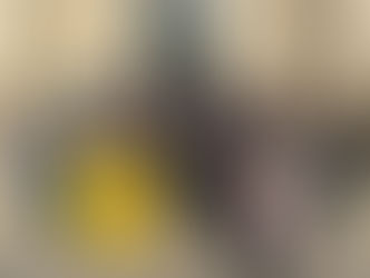 Visite de l'Assemblée nationale par les élèves de l'école d'Arinthod