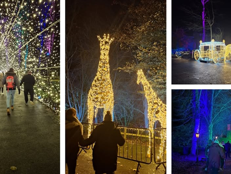 A magical evening exploring the stunning Christmas lights....